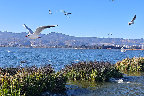 消音降噪材料厂家利用脸书社交媒体营销开展海外市场